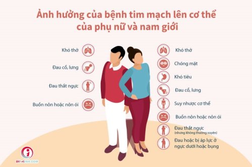 6 điều l&agrave;m n&ecirc;n tr&aacute;i tim khỏe mạnh ở phụ nữ_1.jpg