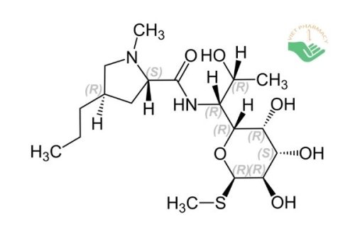 cac-nhom-khang-sinh-3.jpg