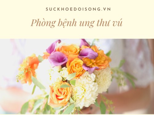phong-chong-benh-ung-thu-vu-2-16348614332212043561547-1635166590068689058728.png